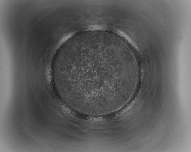 X0000116101213200911301056