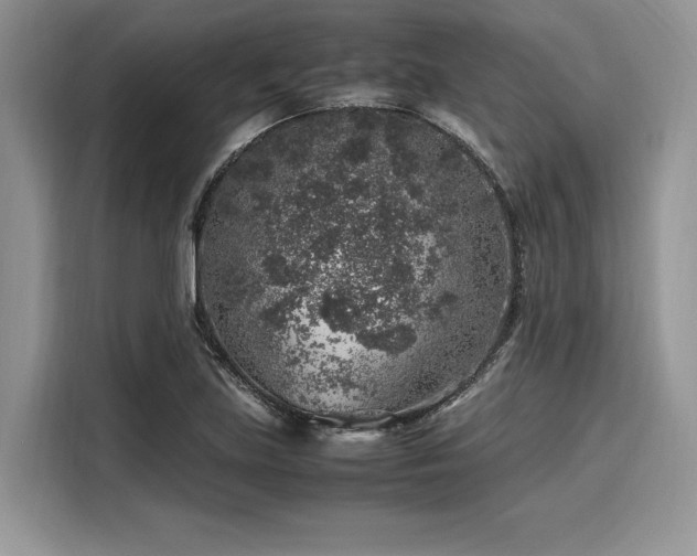 X0000116101219200911301056