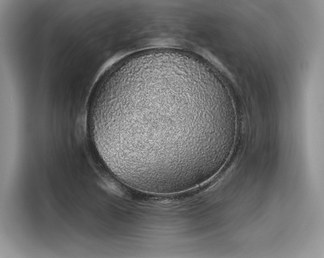 X0000116101222200911301056