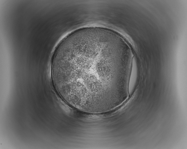 X0000116101224200911301056