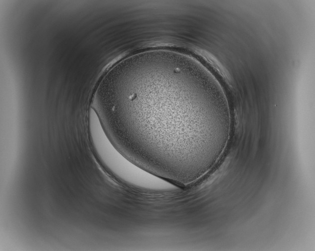 X0000116101225200911301056