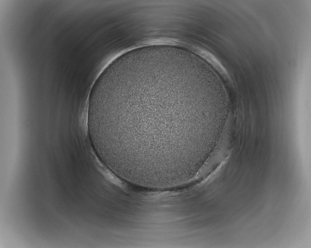 X0000116101228200911301056