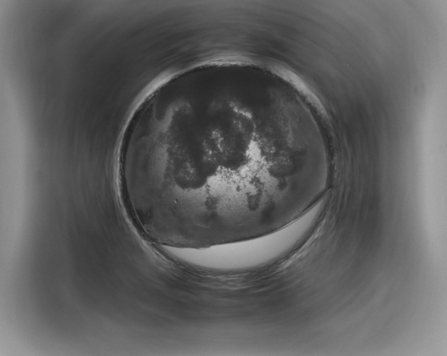 X0000116101229200911301056