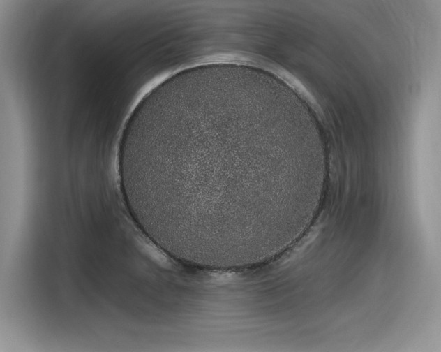 X0000116101230200911301056