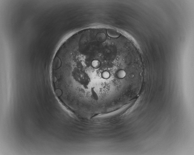 X0000116101231200911301056