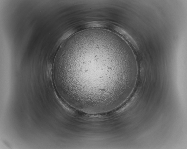 X0000116101233200911301056