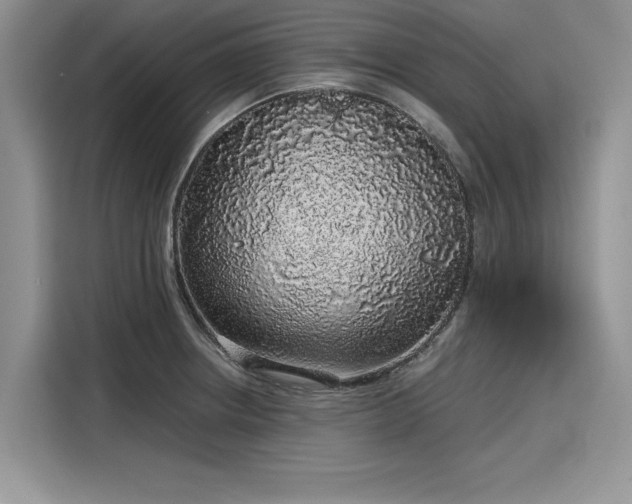 X0000116101234200911301056