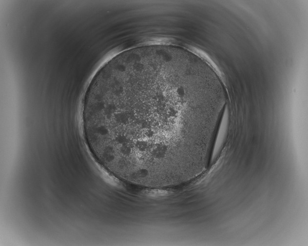 X0000116101235200911301056