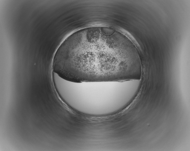 X0000116101236200911301056