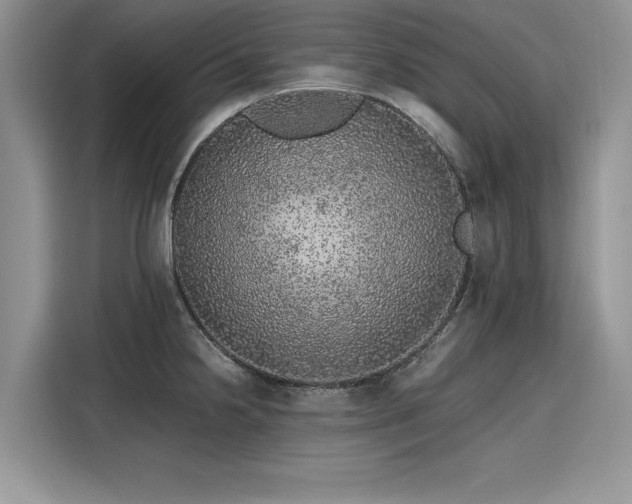 X0000116101238200911301056