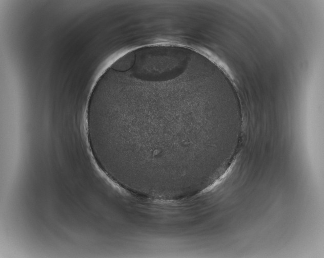 X0000116101239200911301056