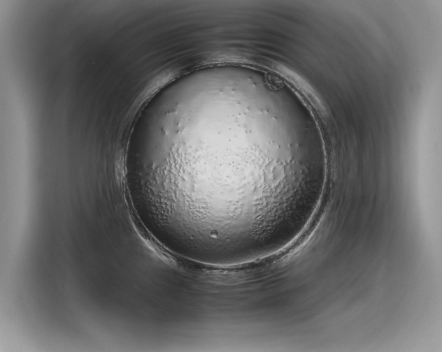 X0000116101241200911301056