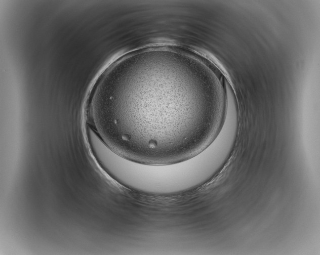 X0000116101243200911301056