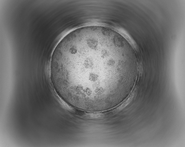 X0000116101244200911301056