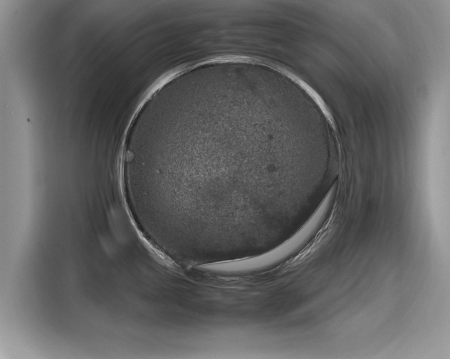 X0000116101245200911301056