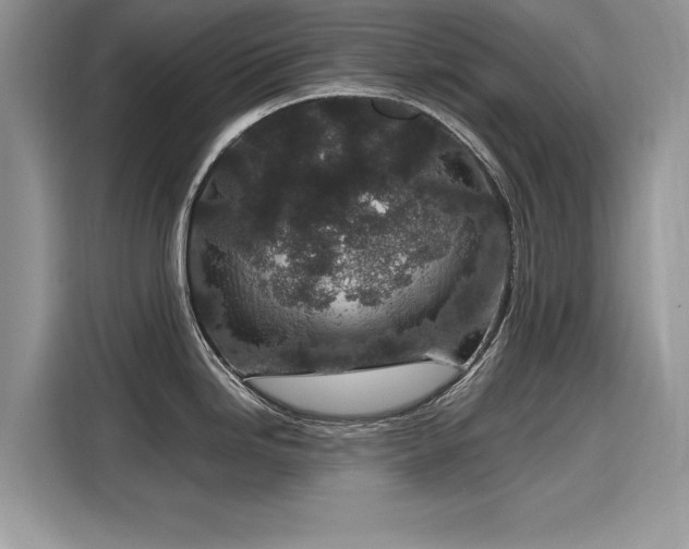 X0000116101246200911301056