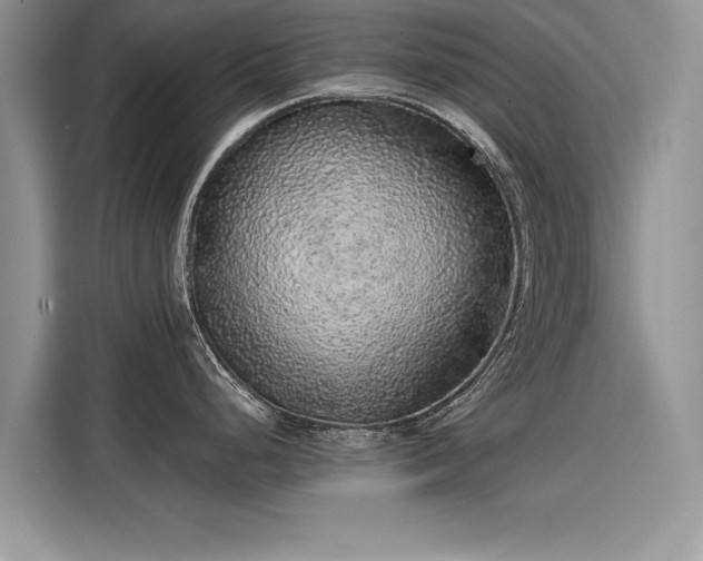 X0000116101248200911301056