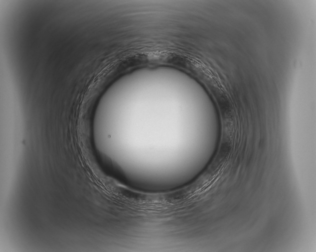 X0000116101249200911301056