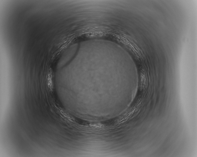 X0000116101250200911301056