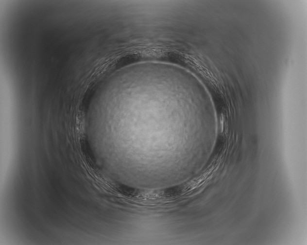 X0000116101251200911301056