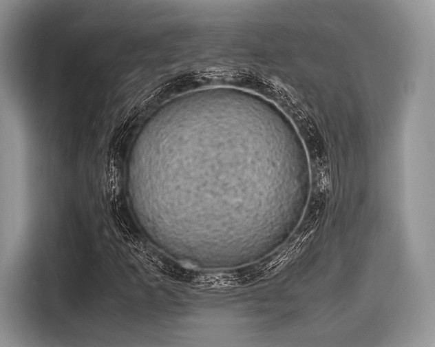 X0000116101253200911301056