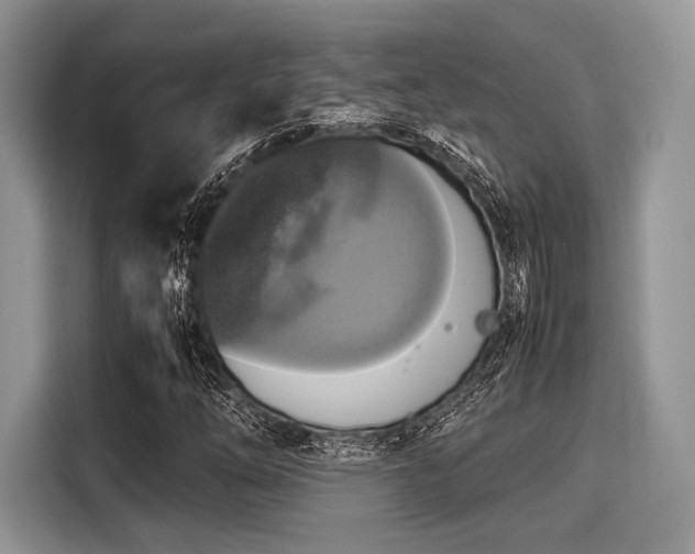 X0000116101254200911301056