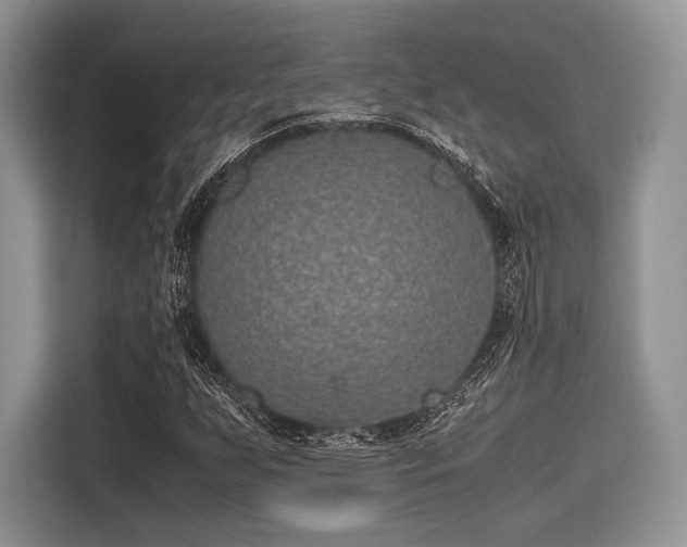 X0000116101255200911301056