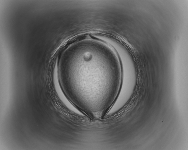 X0000116101256200911301055