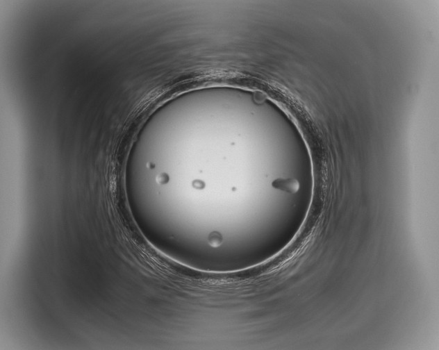 X0000116101257200911301055