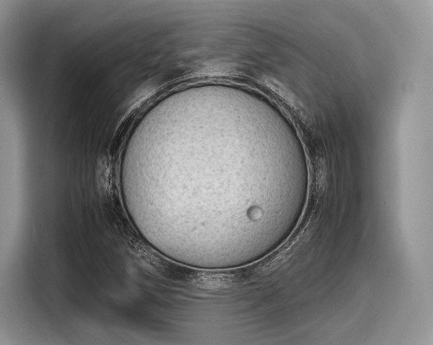 X0000116101258200911301055