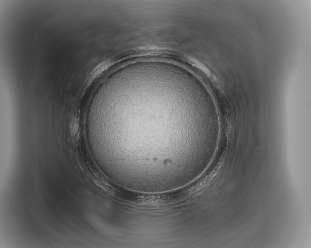 X0000116101259200911301055