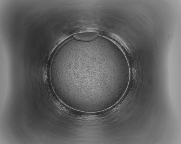 X0000116101260200911301055