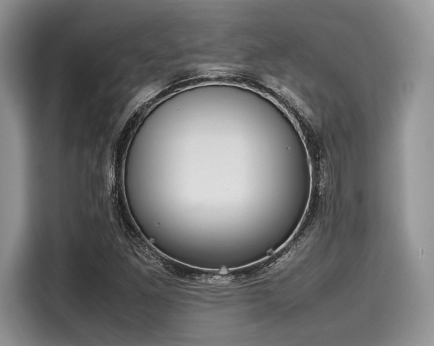 X0000116101261200911301055