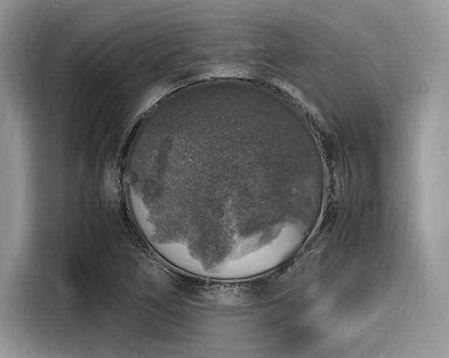 X0000116101266200911301055