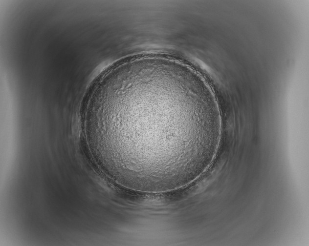 X0000116101267200911301055