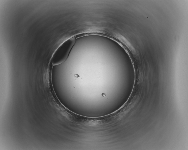 X0000116101268200911301055