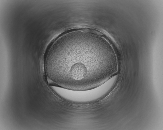 X0000116101269200911301055