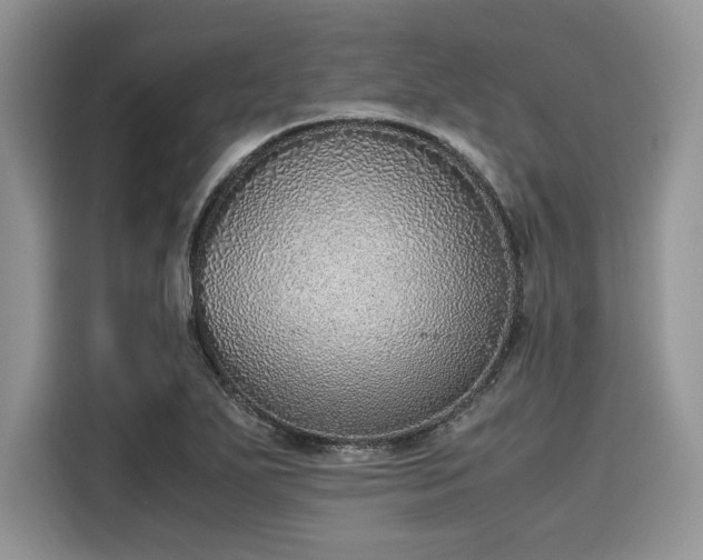 X0000116101271200911301055