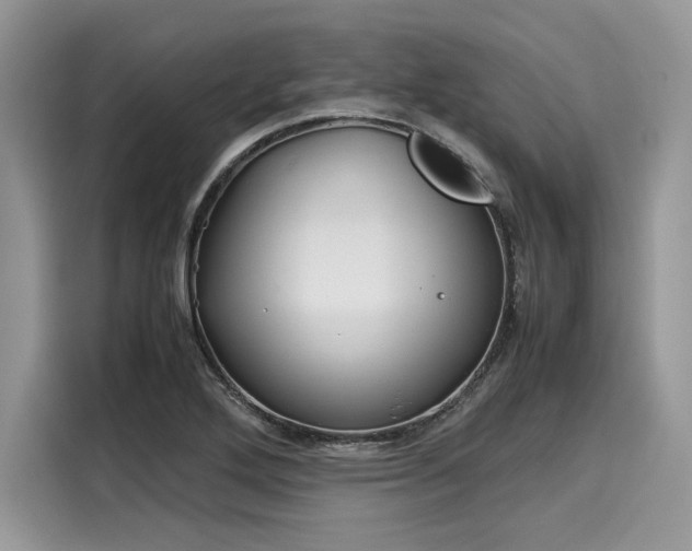 X0000116101272200911301055