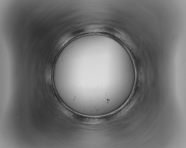 X0000116101273200911301055