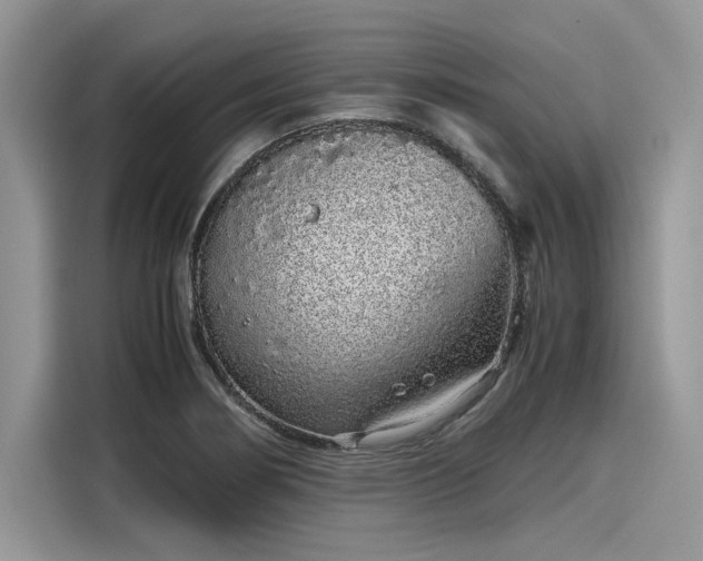 X0000116101274200911301055