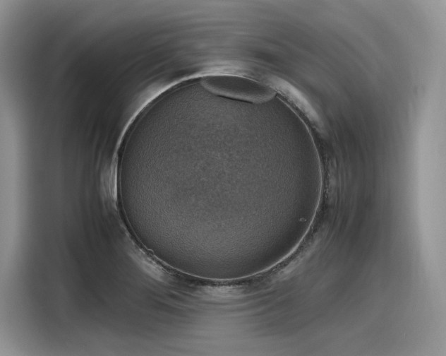 X0000116101276200911301055