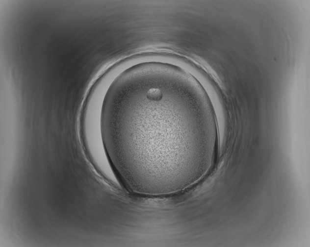 X0000116101277200911301055