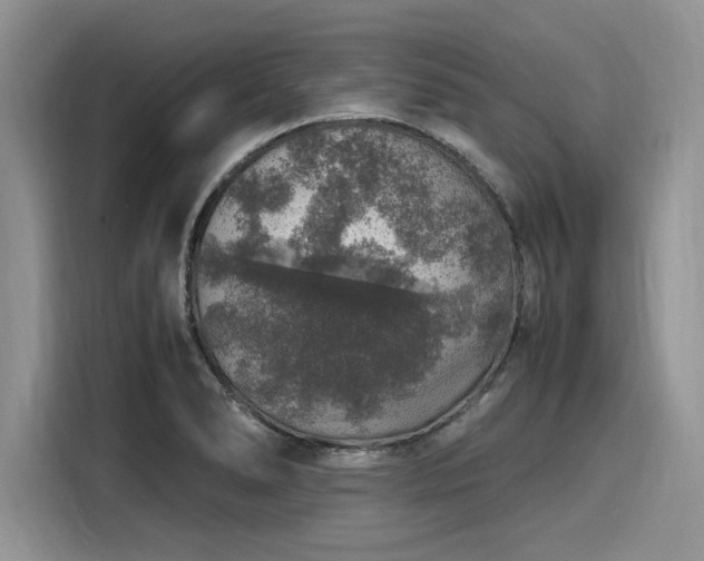 X0000116101278200911301055