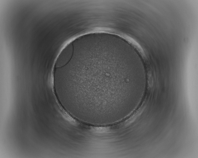 X0000116101280200911301055