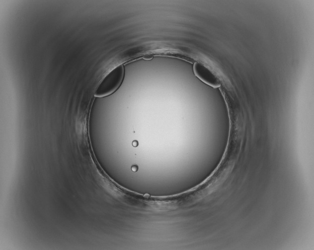 X0000116101281200911301055