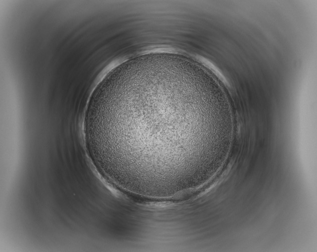 X0000116101282200911301055