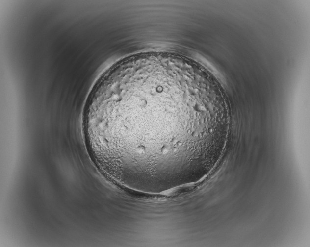 X0000116101283200911301055