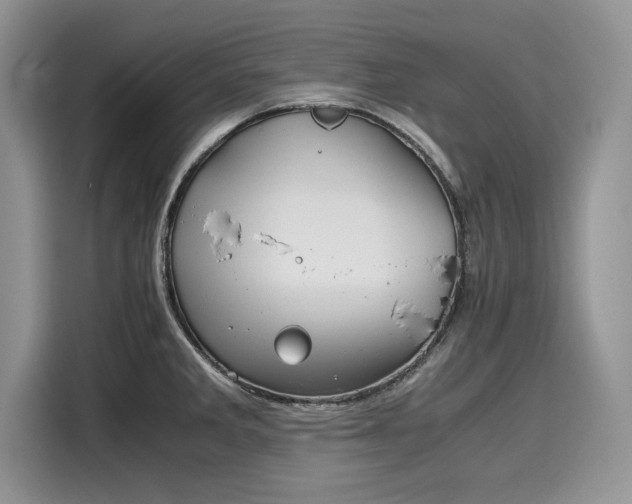 X0000116101285200911301055