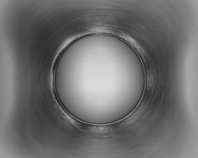 X0000116101286200911301055